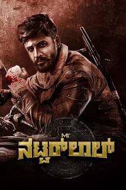 Mr. Natwarlal Kannada